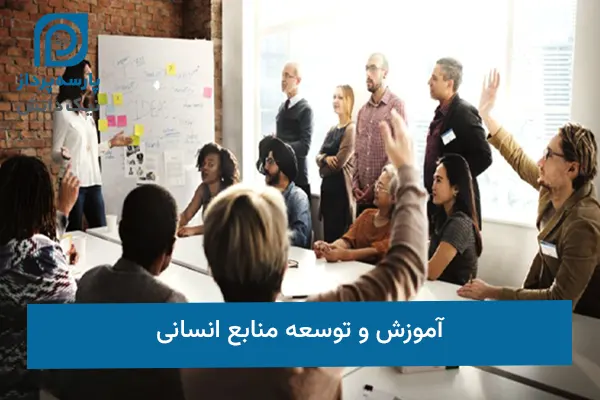 آموزش و توسعه منابع انسانی